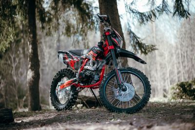 BSE Z10 - миниатюра 13