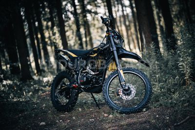 BSE Z9 S - миниатюра 10